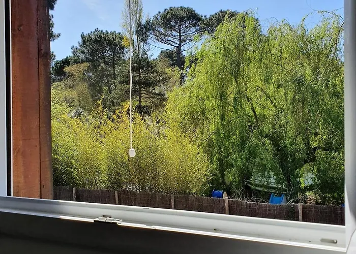 Maison Entre Et Foret *