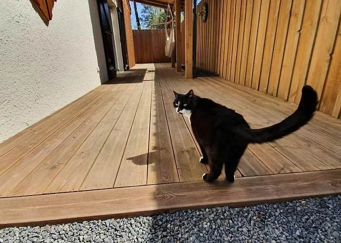 Maison Entre Et Foret